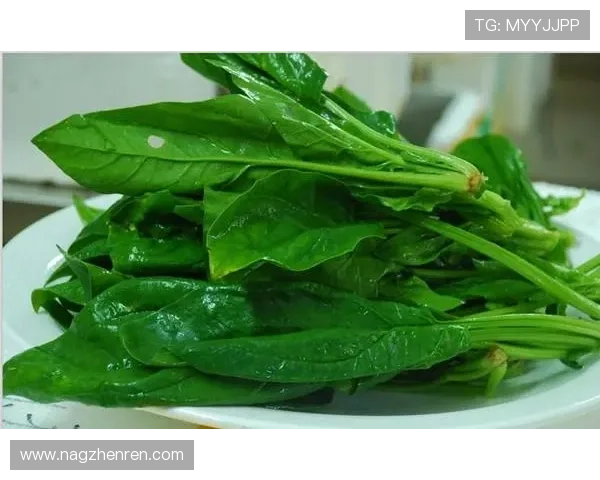 白菜策略菠菜论坛：揭秘高效投资与理财技巧